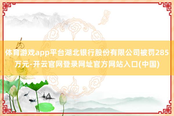 体育游戏app平台湖北银行股份有限公司被罚285万元-开云官网登录网址官方网站入口(中国)