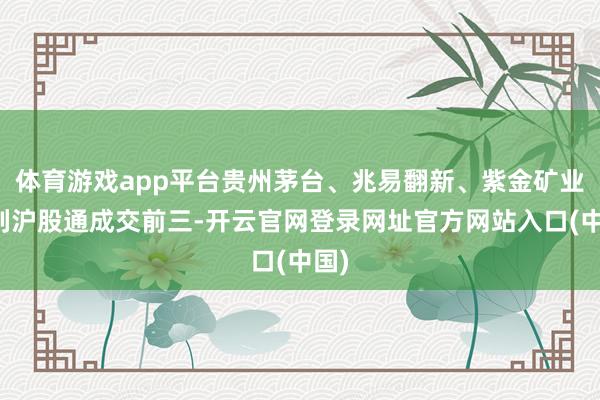 体育游戏app平台贵州茅台、兆易翻新、紫金矿业位列沪股通成交前三-开云官网登录网址官方网站入口(中国)